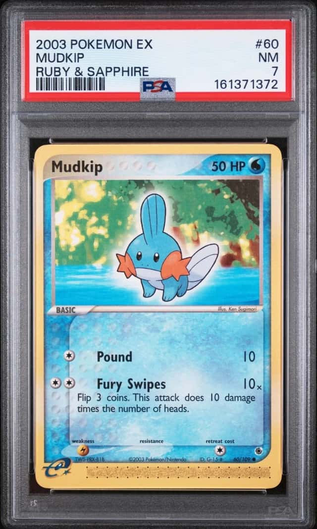 Mudkip