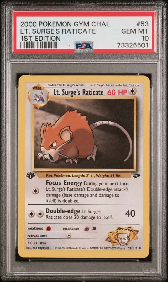 Lt. Surge's Raticate