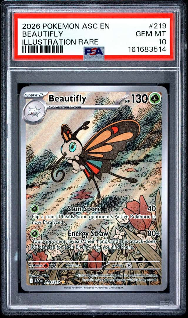 Beautifly