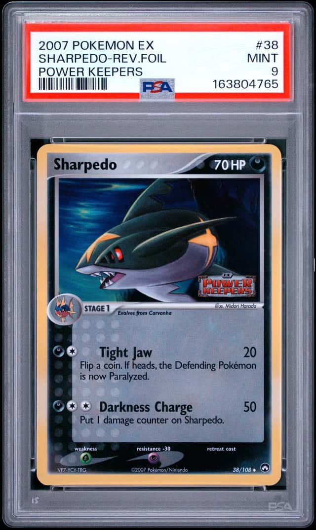 Sharpedo