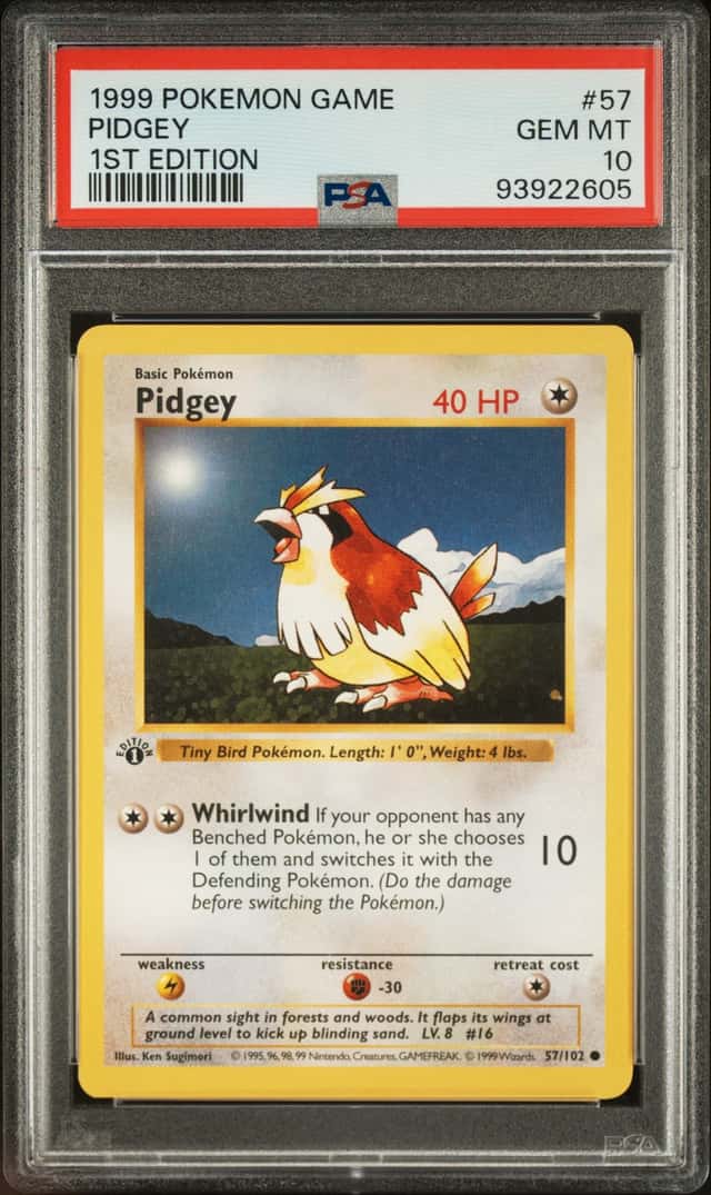 Pidgey