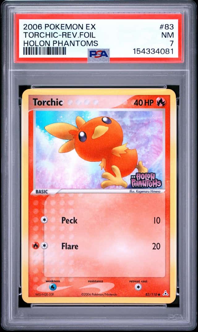 Torchic