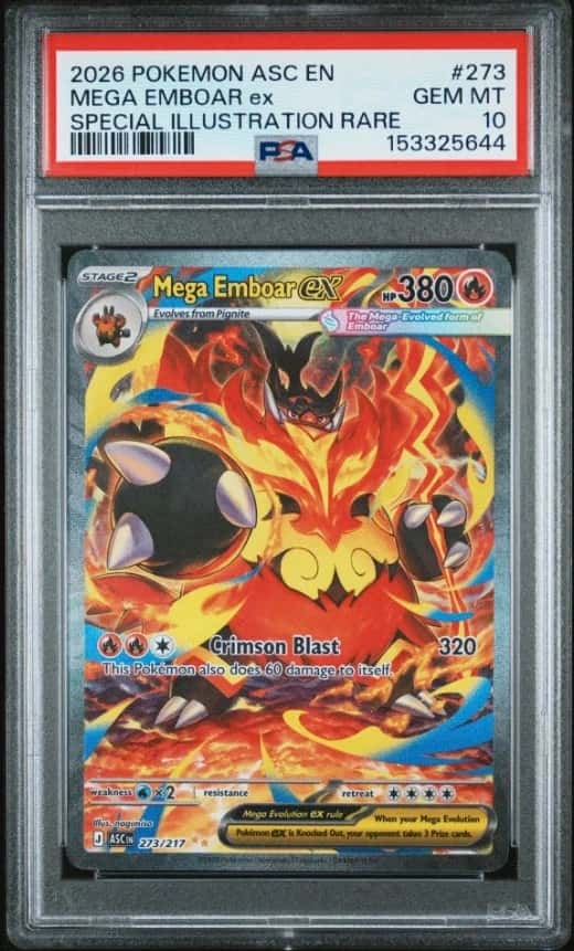 MEGA EMBOAR ex