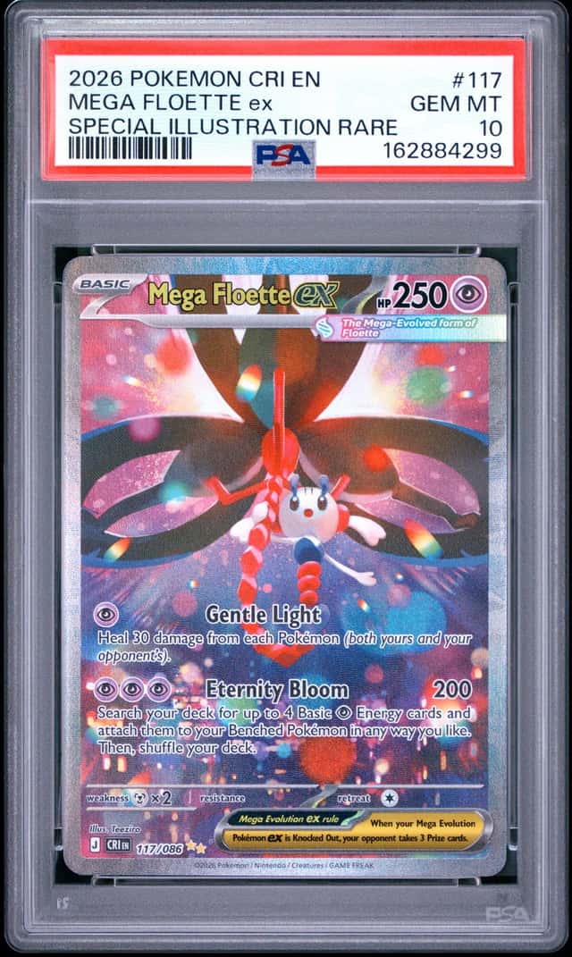 MEGA FLOETTE ex