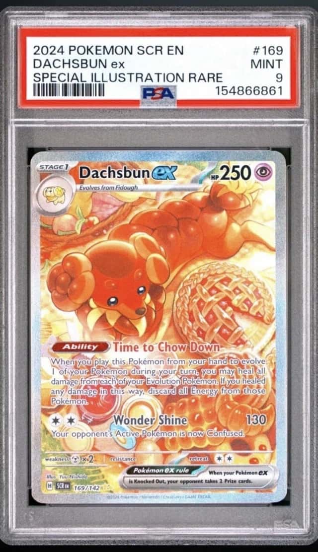 DACHSBUN ex