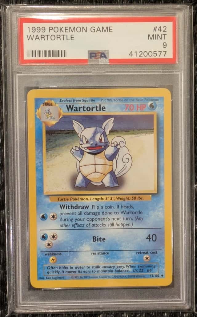 Wartortle