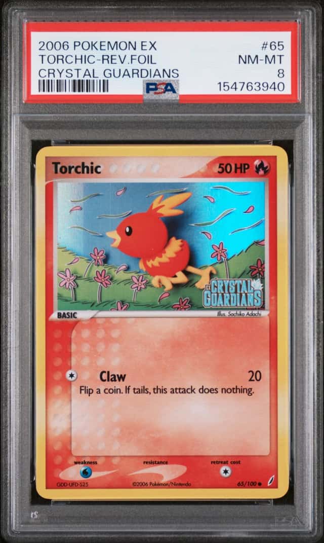 Torchic