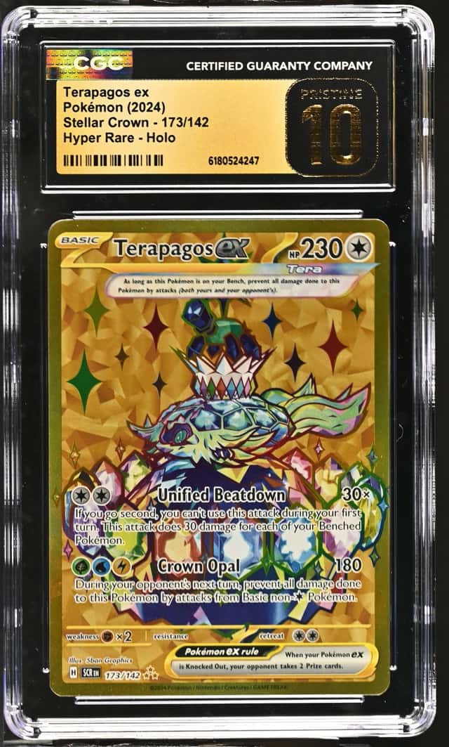 TERAPAGOS ex