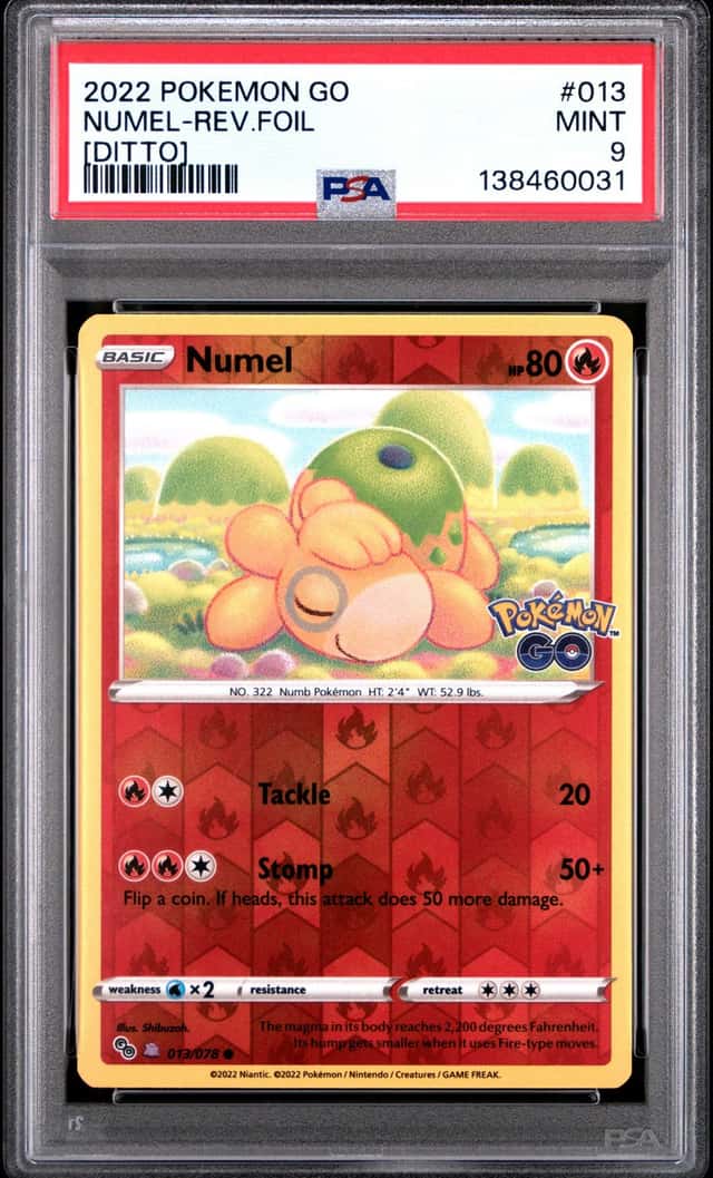 Numel (Ditto)