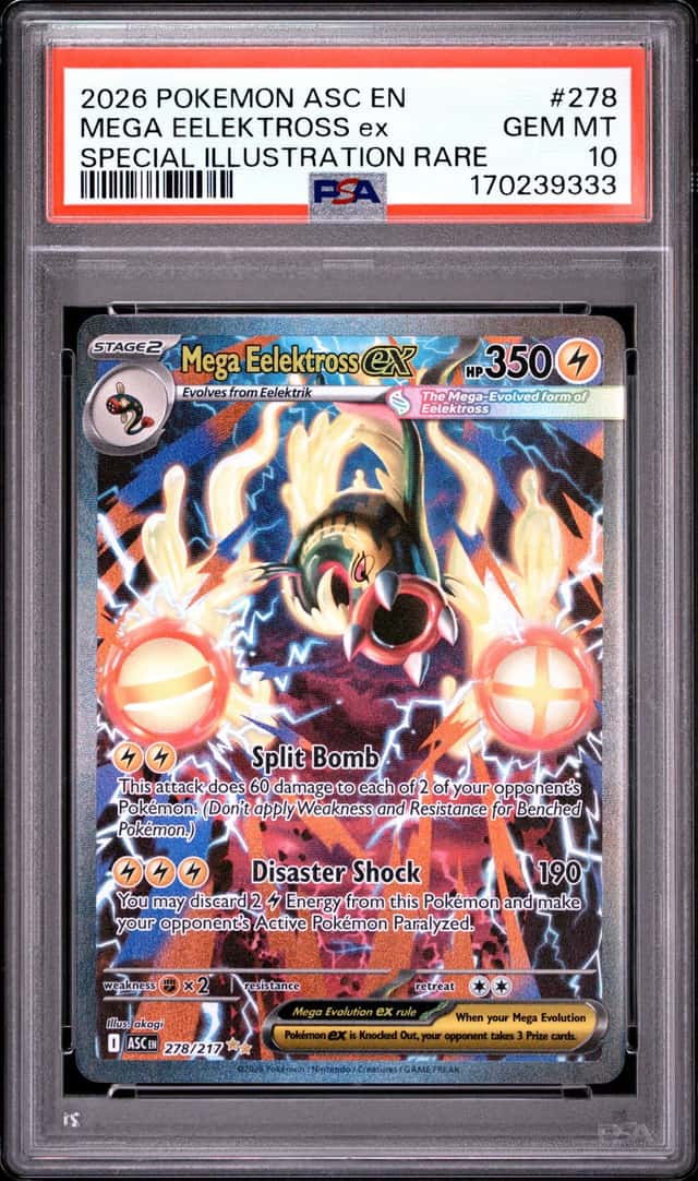 MEGA EELEKTROSS ex