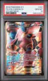 Volcanion Ex