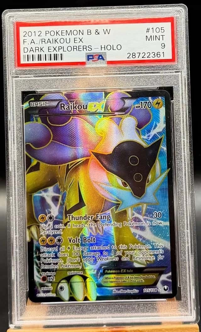 Raikou EX