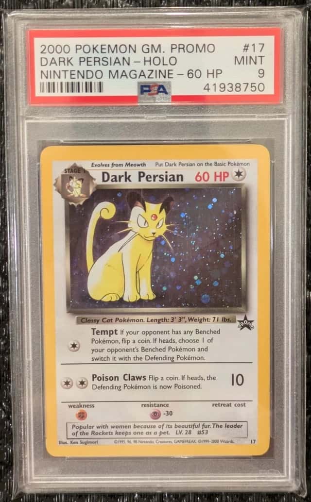Dark Persian