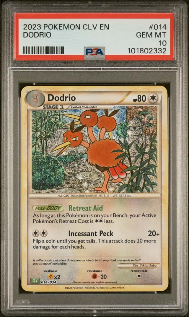 Dodrio