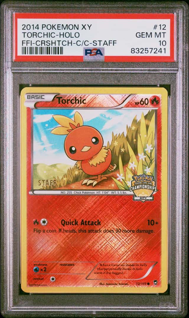 Torchic