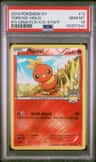 Torchic