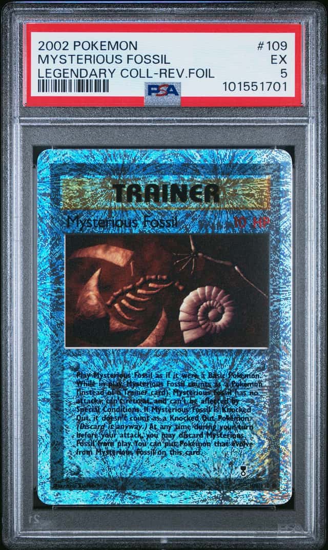 Mysterious Fossil