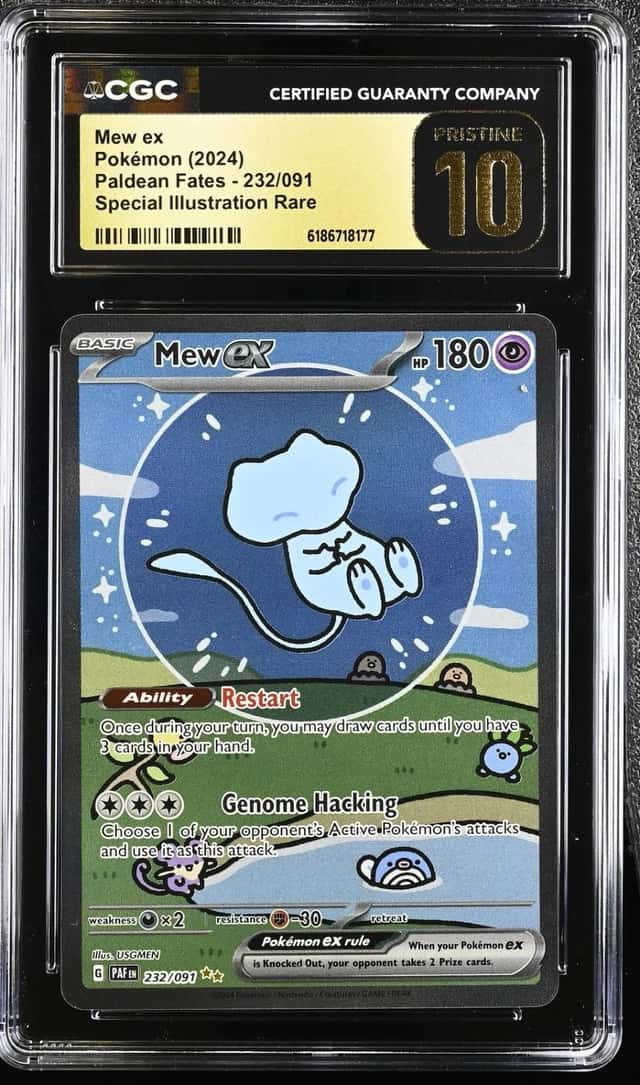MEW ex