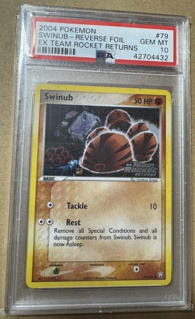 Swinub