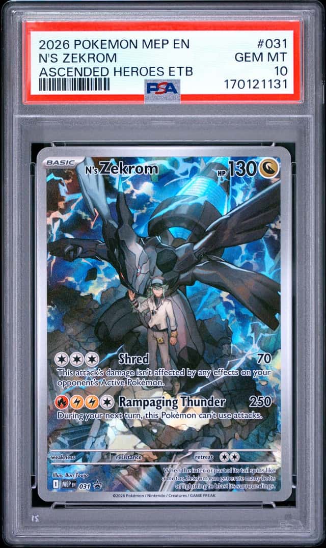 N's Zekrom