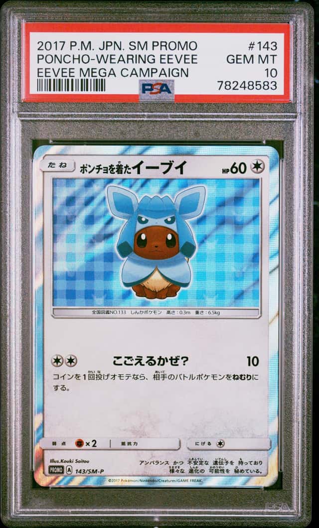 Poncho-Wearing Eevee