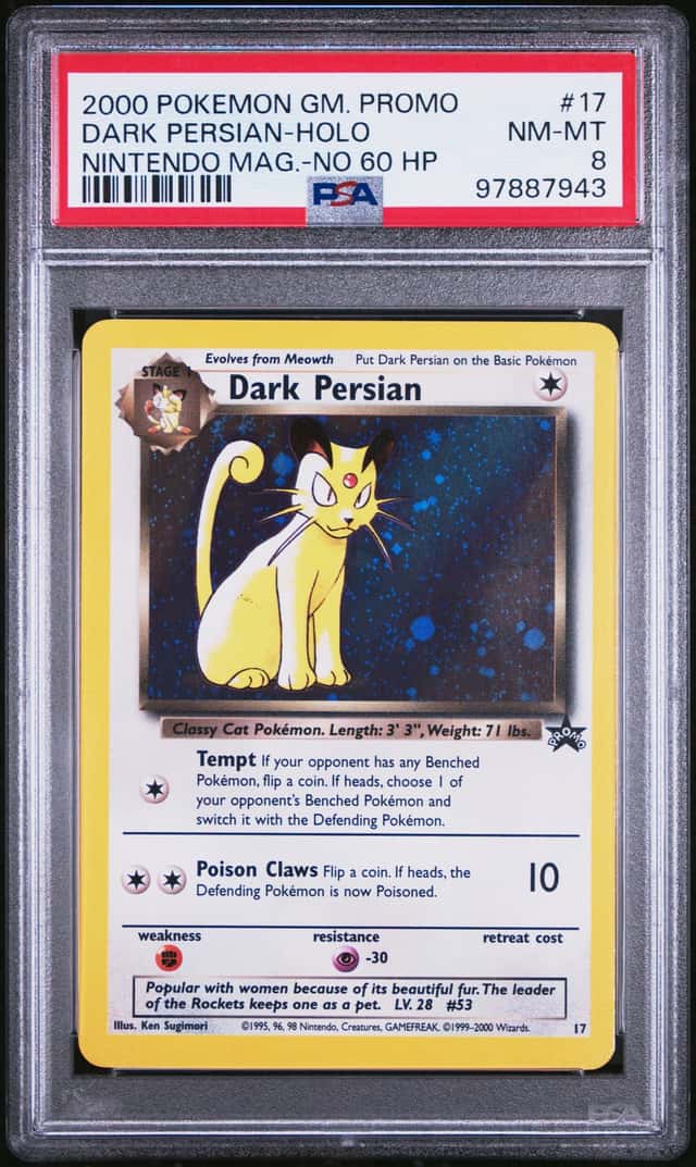 Dark Persian