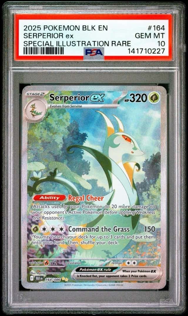 SERPERIOR ex