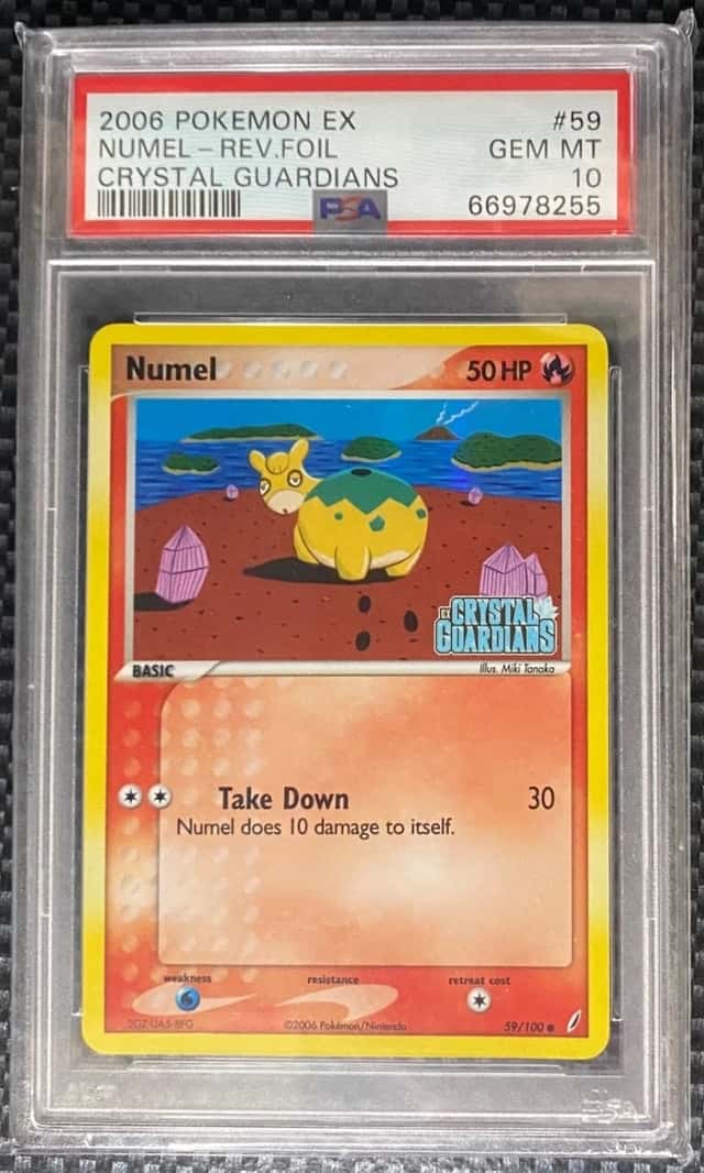 Numel