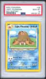 Light Piloswine
