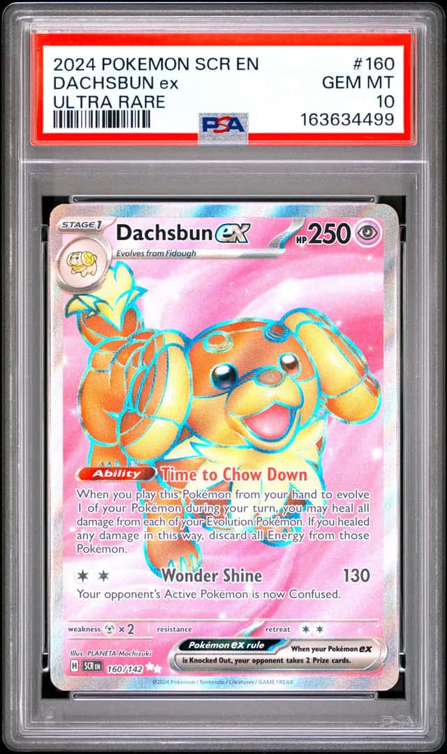 DACHSBUN ex