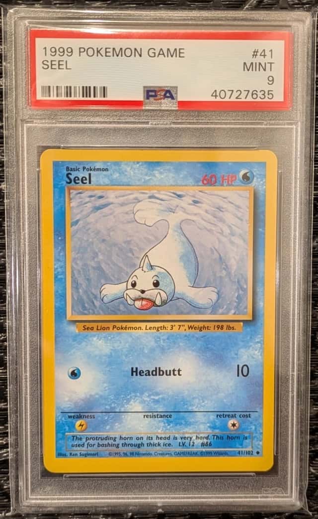 Seel