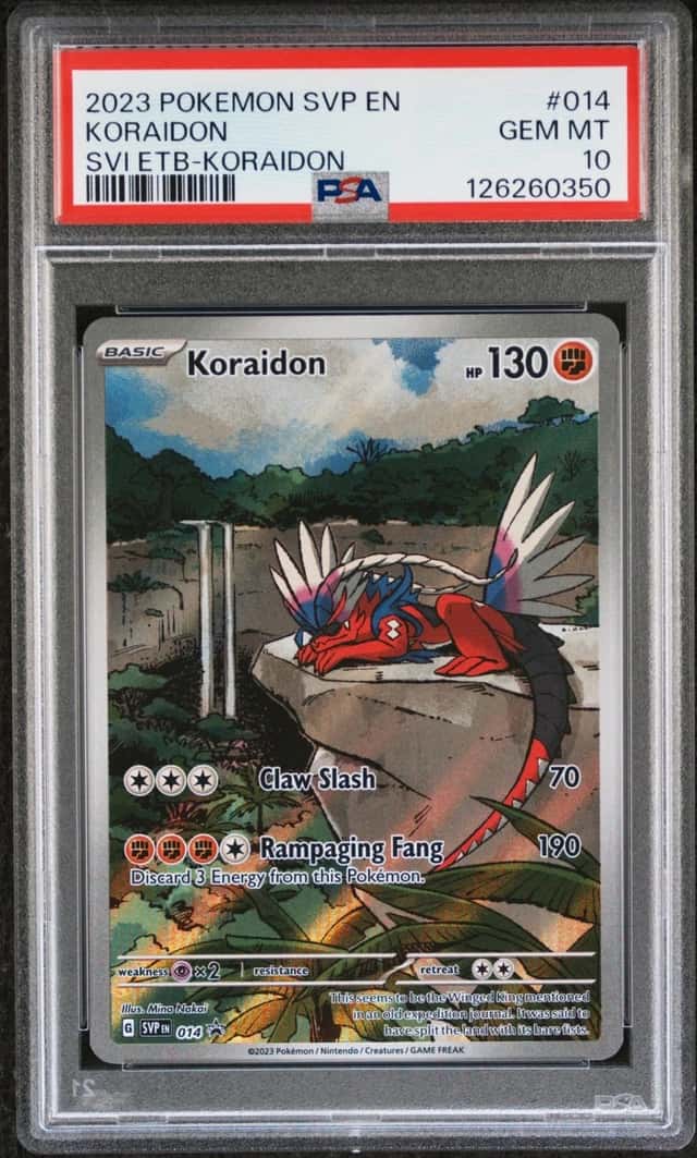 KORaidON