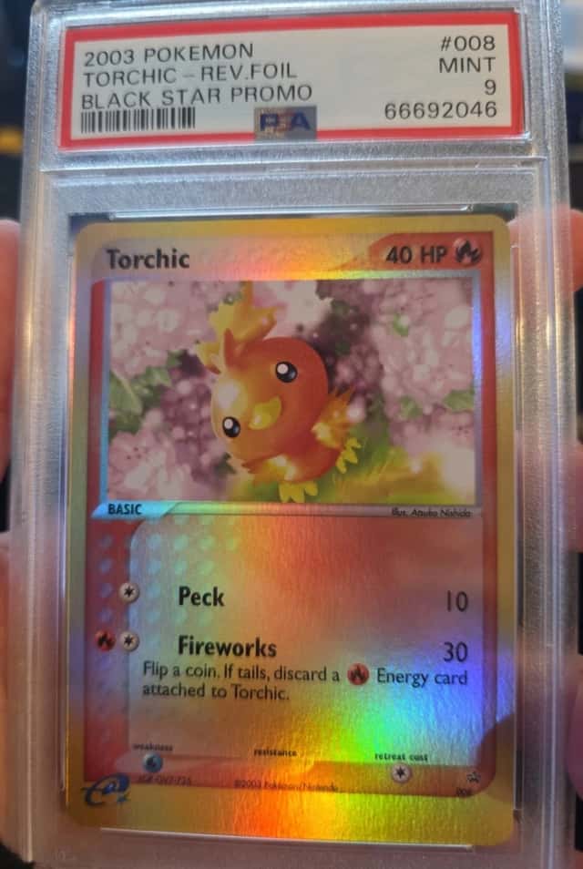 Torchic