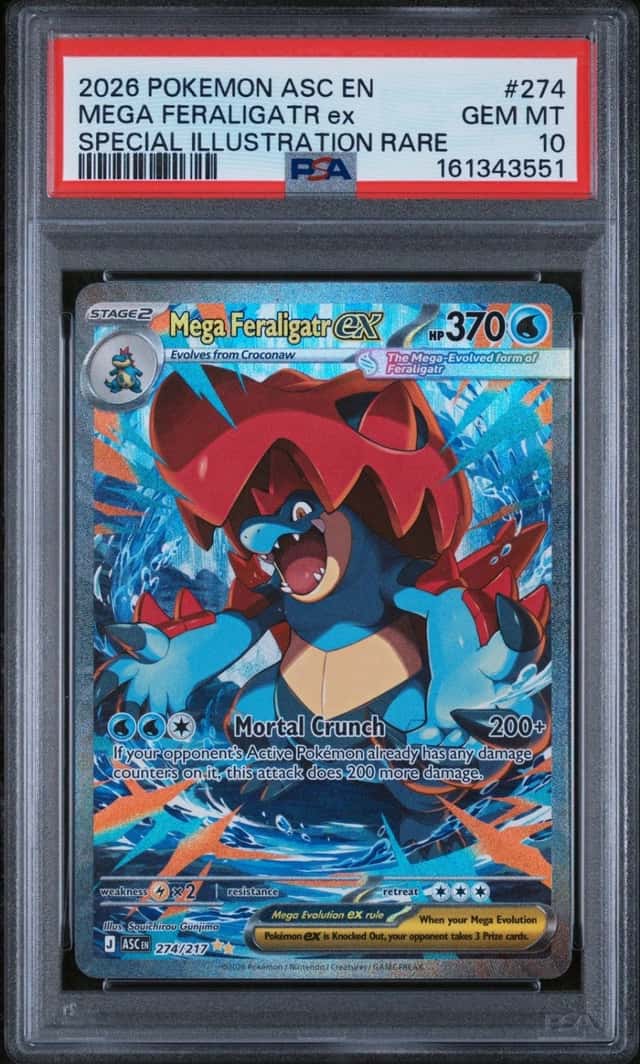 MEGA FERALIGATR ex