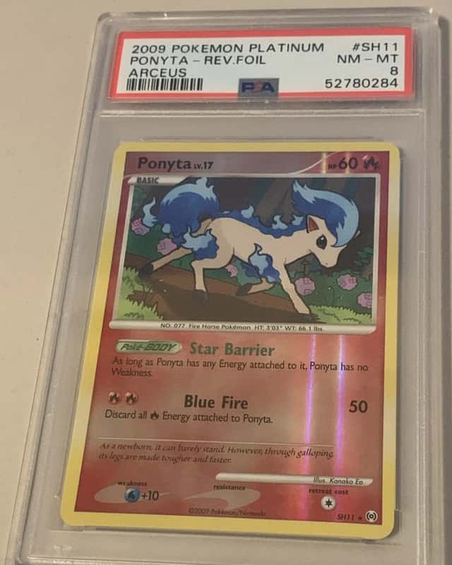 Ponyta