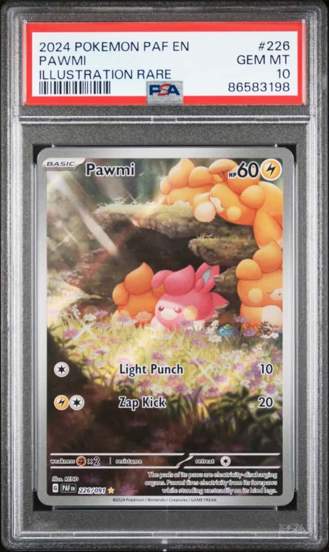 Pawmi