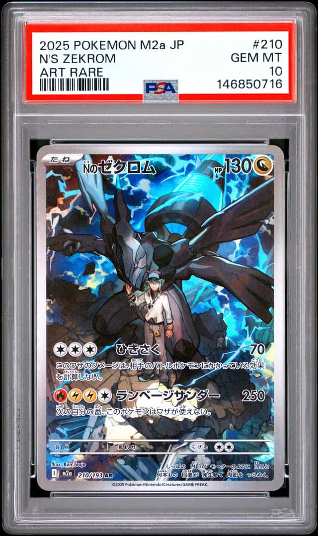 N's Zekrom