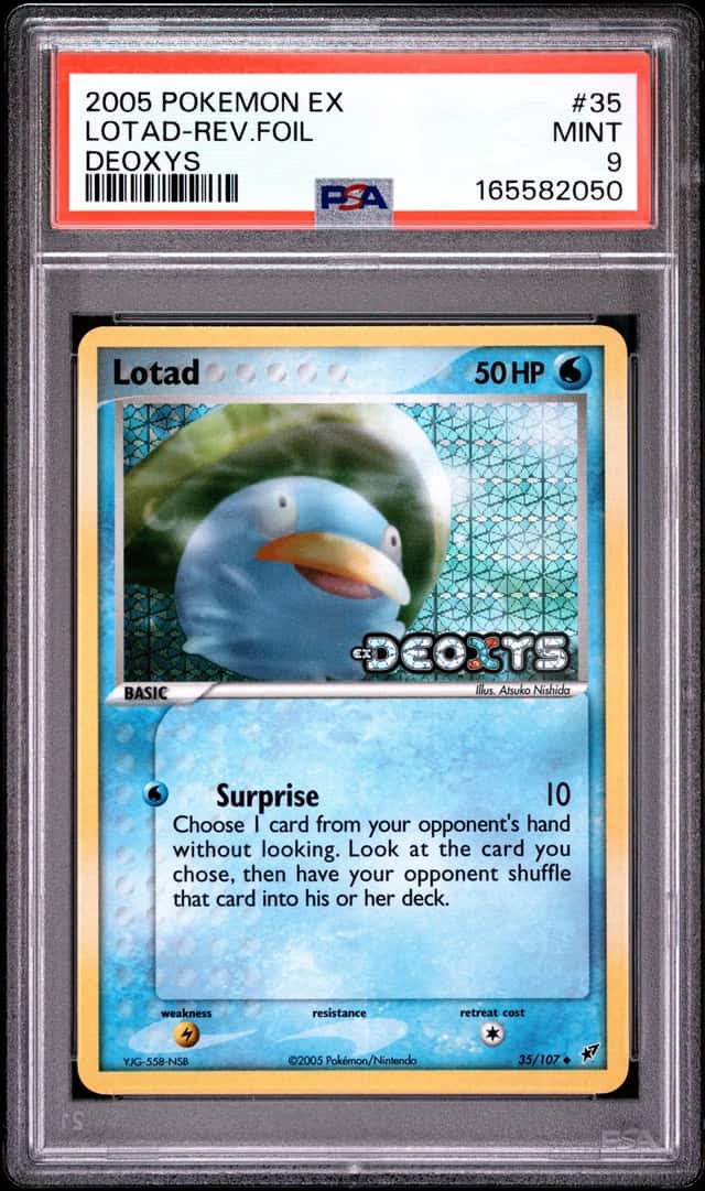 Lotad
