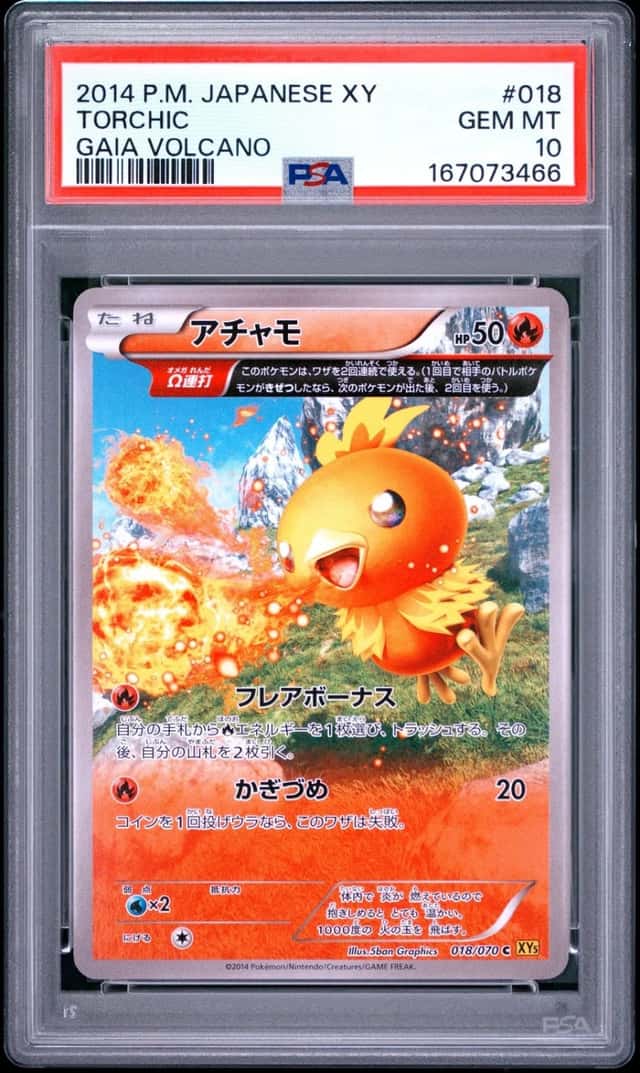 Torchic