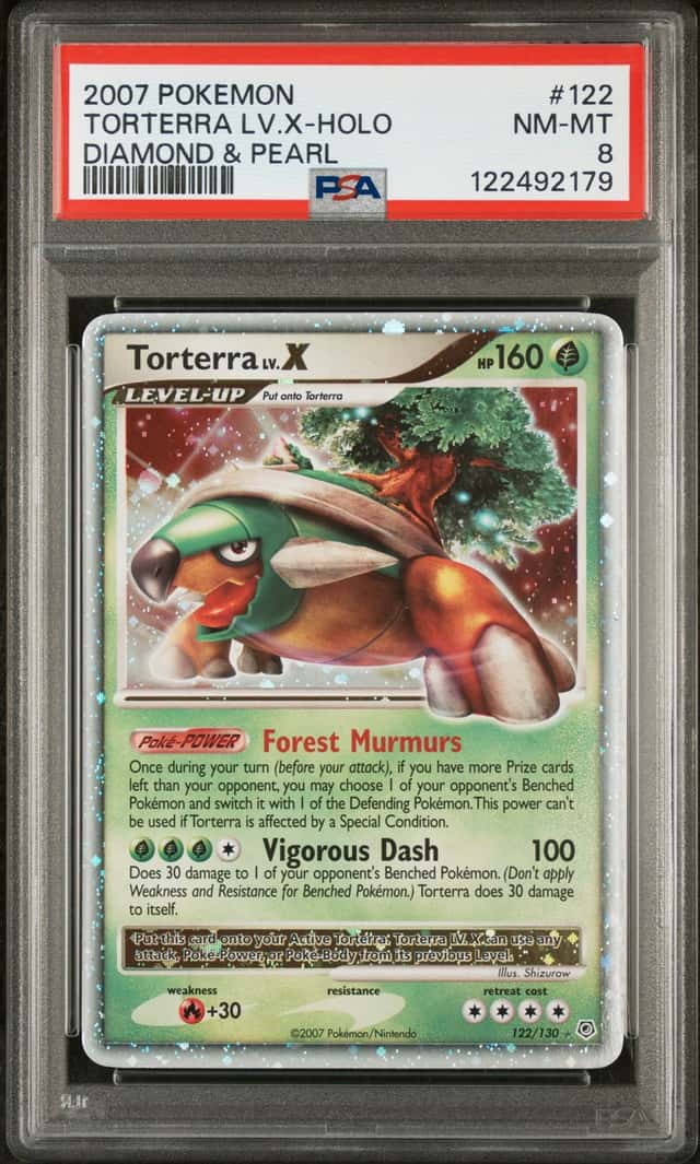 TORTERRA LV.X