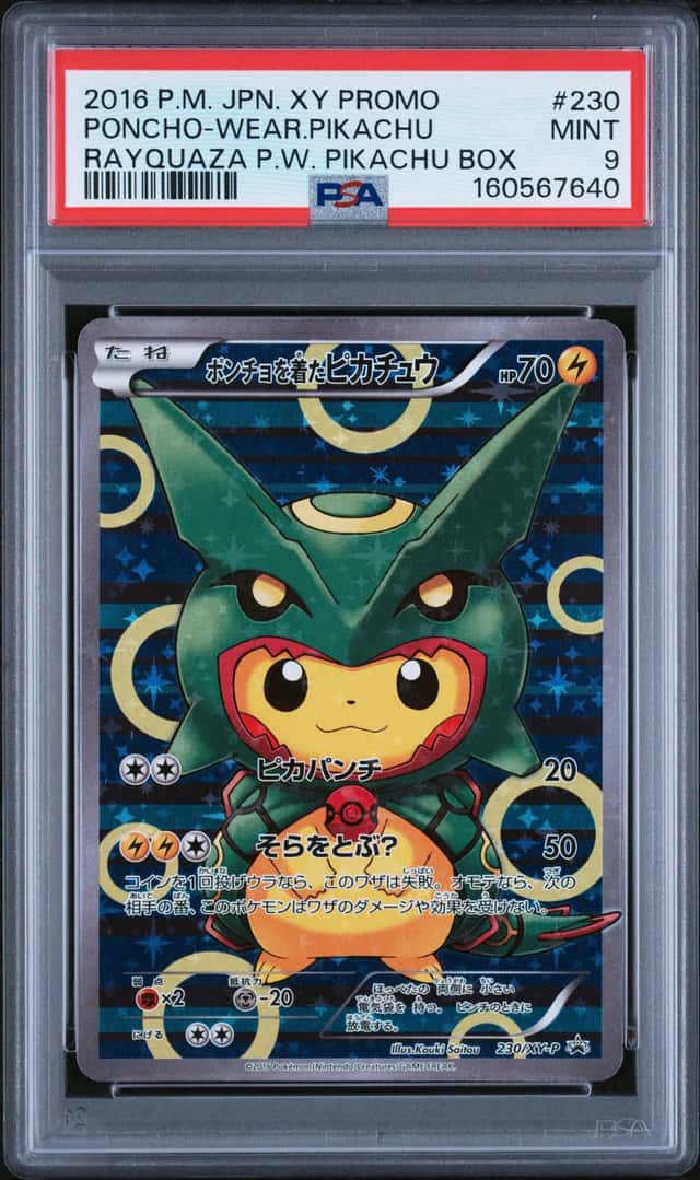 Poncho-Wearing Pikachu