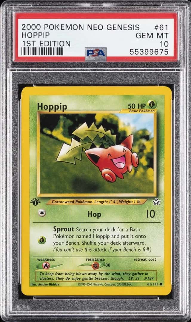 Hoppip