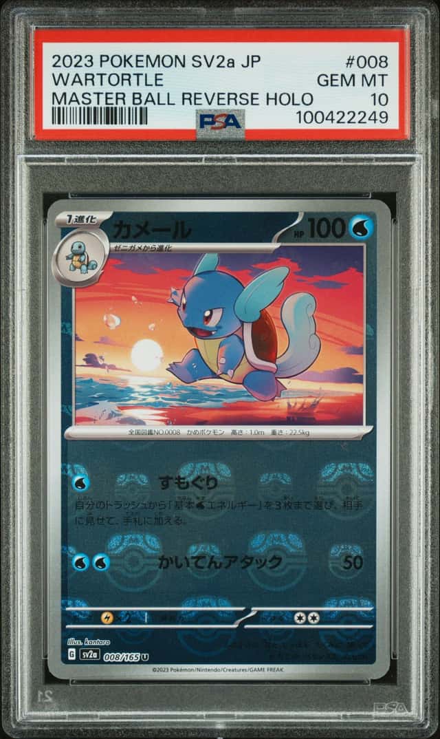 Wartortle
