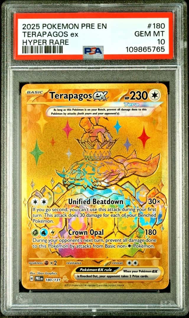 TERAPAGOS ex