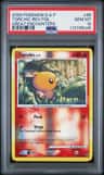 Torchic
