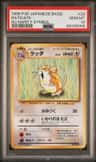 Raticate