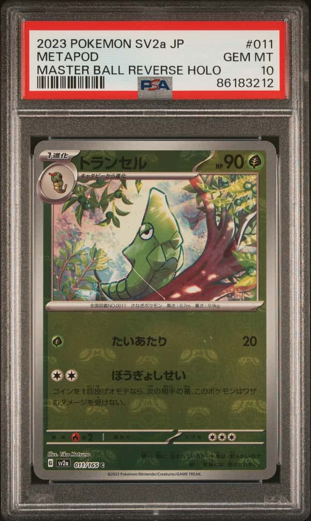 Metapod