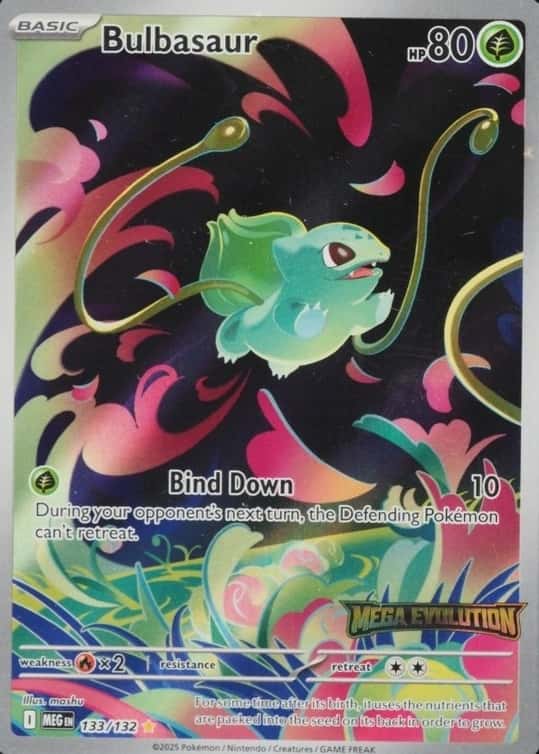 Box Topper