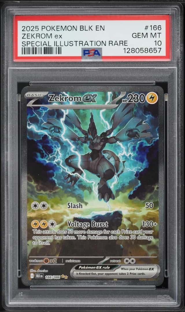ZEKROM ex