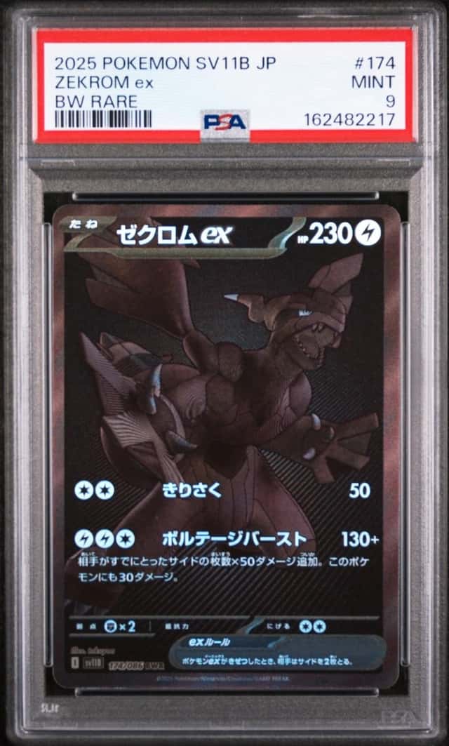 ZEKROM ex
